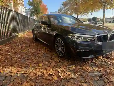 BMW 520 2017 — foto 2 de 10