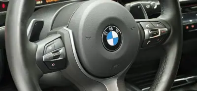 BMW 320 2016 - 18990 EUR, 196500 km - 196500km - foto 35 de 46