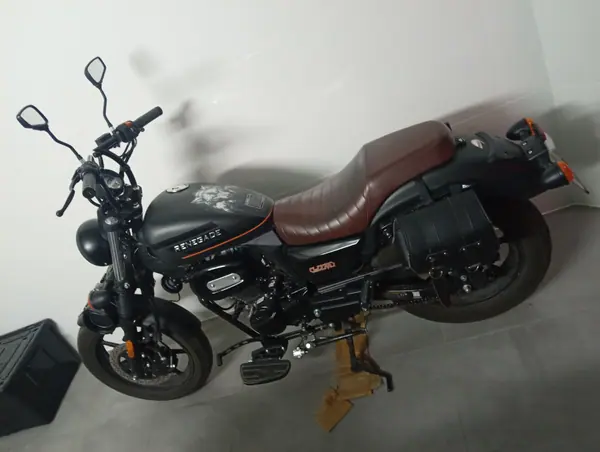 UM Renegade 2022