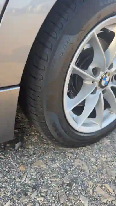 BMW 318 2010 - 7750 EUR, 350000 km - AUTO.MOTO.pt - 350000km - foto 11 de 11