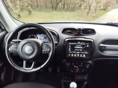 Jeep Renegade 2019 - 15900 EUR, 96500 km - AUTO.MOTO.pt - 96500km - foto 16 de 17