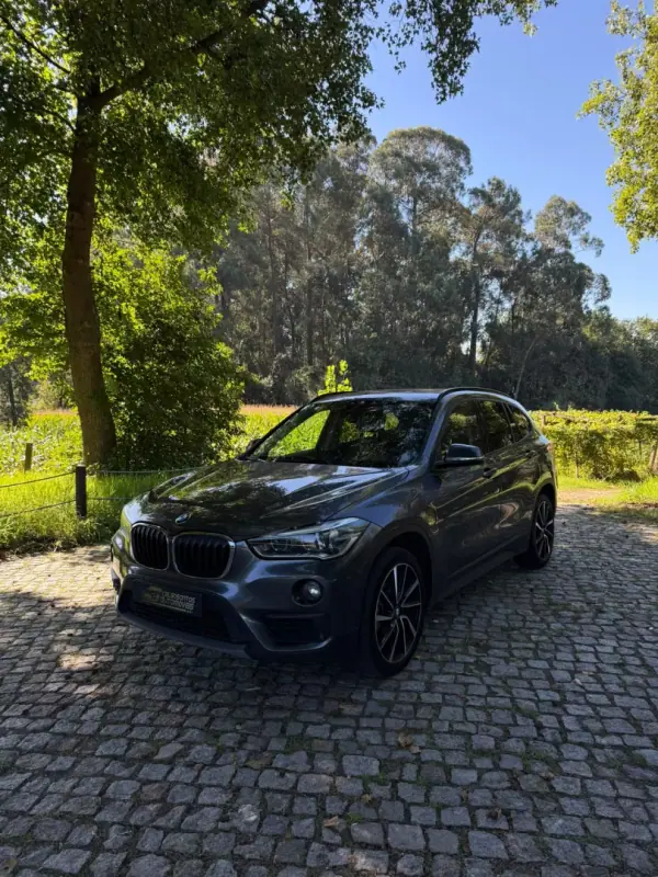 BMW X1 18 d sDrive Advantage 2017 Diesel