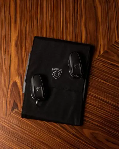 Peugeot 2008 2022 - 23950 EUR, 28000 km - 28000km - foto 29 de 29